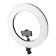 Ring light LED 60W dimmable, 3000-6000K