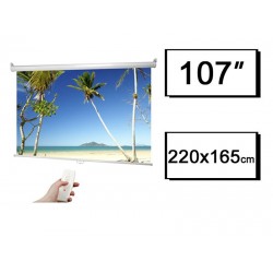 PROJECTION SCREEN 220x165 AUTOMATIC