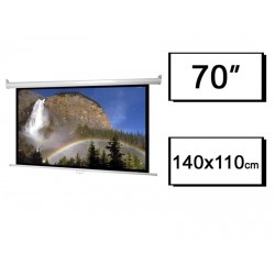 PROJECTION WALL SCREEN 145x110